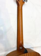 Taylor GS Mini Rosewood_4