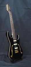 Ibanez PGM50 Paul Gilbert Signature_4