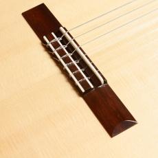 ASTURIAS Traditional Works No. 25 [トラディショナル・ワークスNo.25]_3