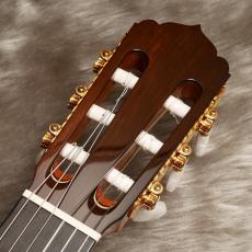 ASTURIAS Traditional Works No. 25 [トラディショナル・ワークスNo.25]_7