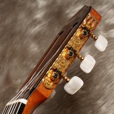 ASTURIAS Traditional Works No. 25 [トラディショナル・ワークスNo.25]_8