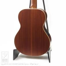 Maton EMD6 (Mini Maton Diesel Special)_3