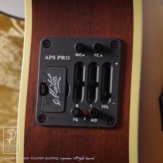 Maton EMD6 (Mini Maton Diesel Special)_13