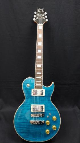 Aria Pro II Aria Pro II PE-700 SLB