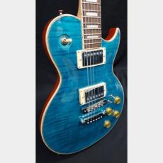 Aria Pro II Aria Pro II PE-700 SLB_3