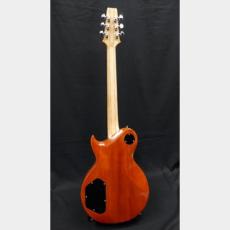 Aria Pro II Aria Pro II PE-700 SLB_5