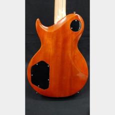 Aria Pro II Aria Pro II PE-700 SLB_6