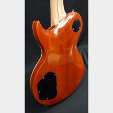 Aria Pro II Aria Pro II PE-700 SLB_7