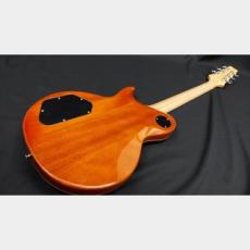 Aria Pro II Aria Pro II PE-700 SLB_10