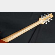 Aria Pro II Aria Pro II PE-700 SLB_11