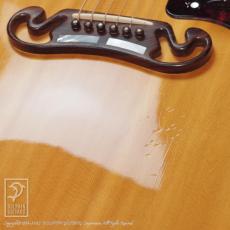 Gibson J-200 (Natural)【デモ動画掲載】_13