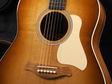 Taylor Gold Label 517e w/Cream Pickguard ~Sunburst~ 【新製品!】_5