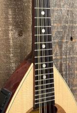 HORA Mandoport II M1086 w/P.U._3