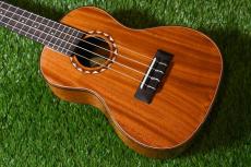 DCT DUC-600M Concert