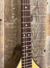 HORA M1090 Concert Bouzouki w/P.U._4