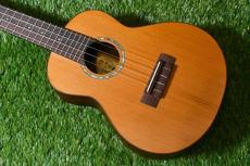 aNueNue aNN-C4 Concert #1