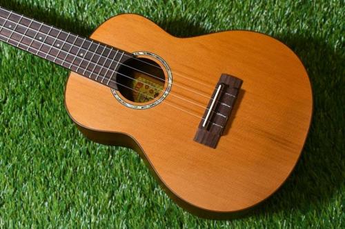 aNueNue aNN-C4 Concert #1