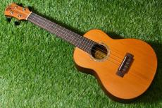 aNueNue aNN-C4 Concert #1_2