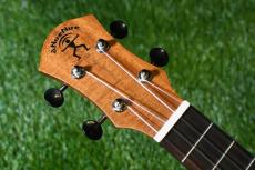 aNueNue aNN-C4 Concert #1_5