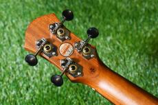 aNueNue aNN-C4 Concert #1_6