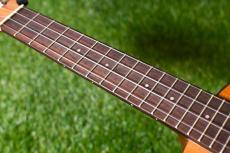 aNueNue aNN-C4 Concert #1_7