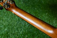 aNueNue aNN-C4 Concert #1_8