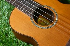 aNueNue aNN-C4 Concert #1_9