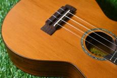 aNueNue aNN-C4 Concert #1_10