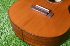 aNueNue aNN-C4 Concert #1_11