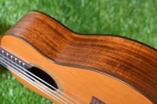 aNueNue aNN-C4 Concert #1_13