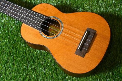 aNueNue aNN-S4 Soprano #1