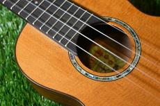 aNueNue aNN-S4 Soprano #1_9