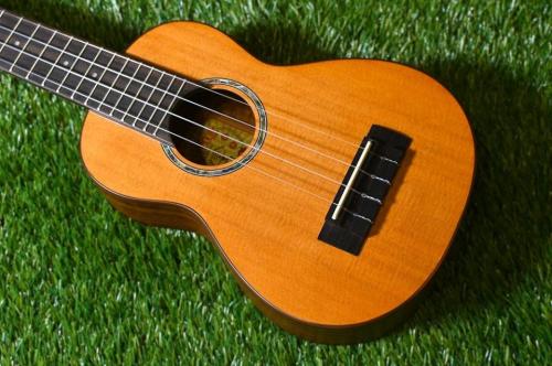 aNueNue aNN-S4 Soprano #3