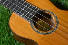 aNueNue aNN-S4 Soprano #3_9