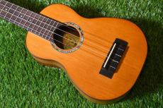 aNueNue aNN-S4 Soprano #4