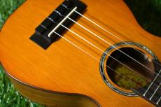 aNueNue aNN-S4 Soprano #4_10