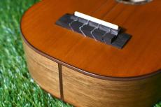 aNueNue aNN-S4 Soprano #4_11