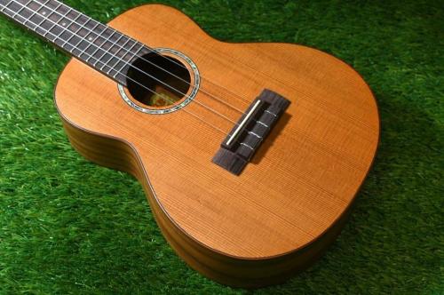 aNueNue aNN-C4 Concert #2