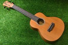 aNueNue aNN-C4 Concert #2_2