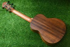 aNueNue aNN-C4 Concert #2_3