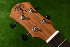 aNueNue aNN-C4 Concert #2_5