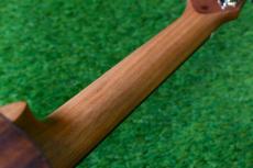 aNueNue aNN-C4 Concert #2_8