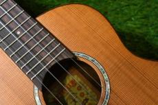 aNueNue aNN-C4 Concert #2_10