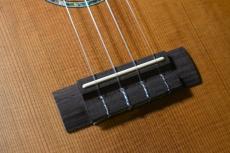 aNueNue aNN-C4 Concert #2_12