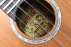 aNueNue aNN-C4 Concert #2_16