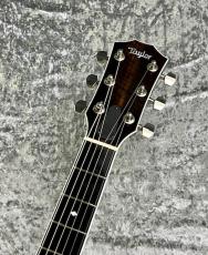 Taylor 【特選中古セール】 T-5 Standard 'TB 【2015'USED】_3