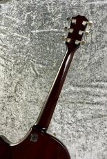 Taylor 【特選中古セール】 T-5 Standard 'TB 【2015'USED】_6