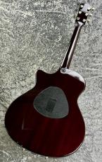 Taylor 【特選中古セール】 T-5 Standard 'TB 【2015'USED】_8