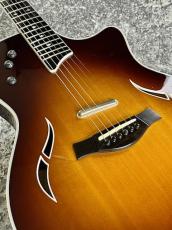Taylor 【特選中古セール】 T-5 Standard 'TB 【2015'USED】_10