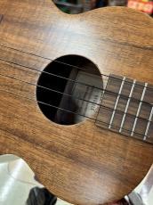 Kamaka HF-3 【2023年製】【テナーサイズ】_3